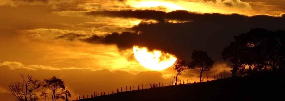 Die Kraft der Sonne: Wie ihr Licht alles auf der Erde beeinflusst Die Kraft der Sonne: Wie ihr Licht alles auf der Erde beeinflusst