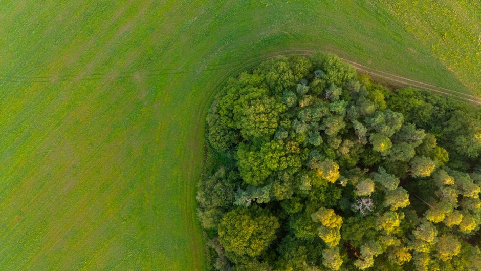 A stunning aerial shot capturing the contrast between a lush forest and an expansive green field in summer.